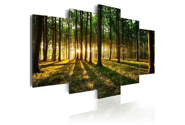 Wandbild - Sonnendurchfluteter Wald