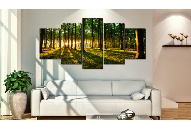 Wandbild - Sonnendurchfluteter Wald