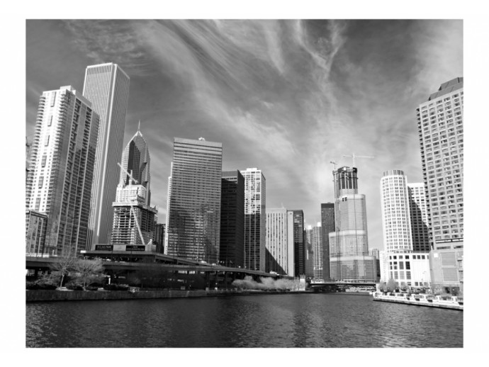 Fototapete - Panorama von Chicago in Schwarz-Weiß