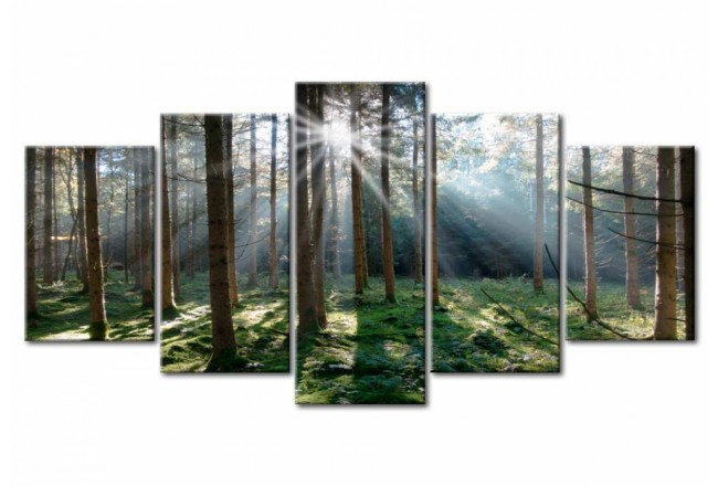 Wandbild - Tief im Wald