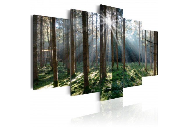 Wandbild - Tief im Wald