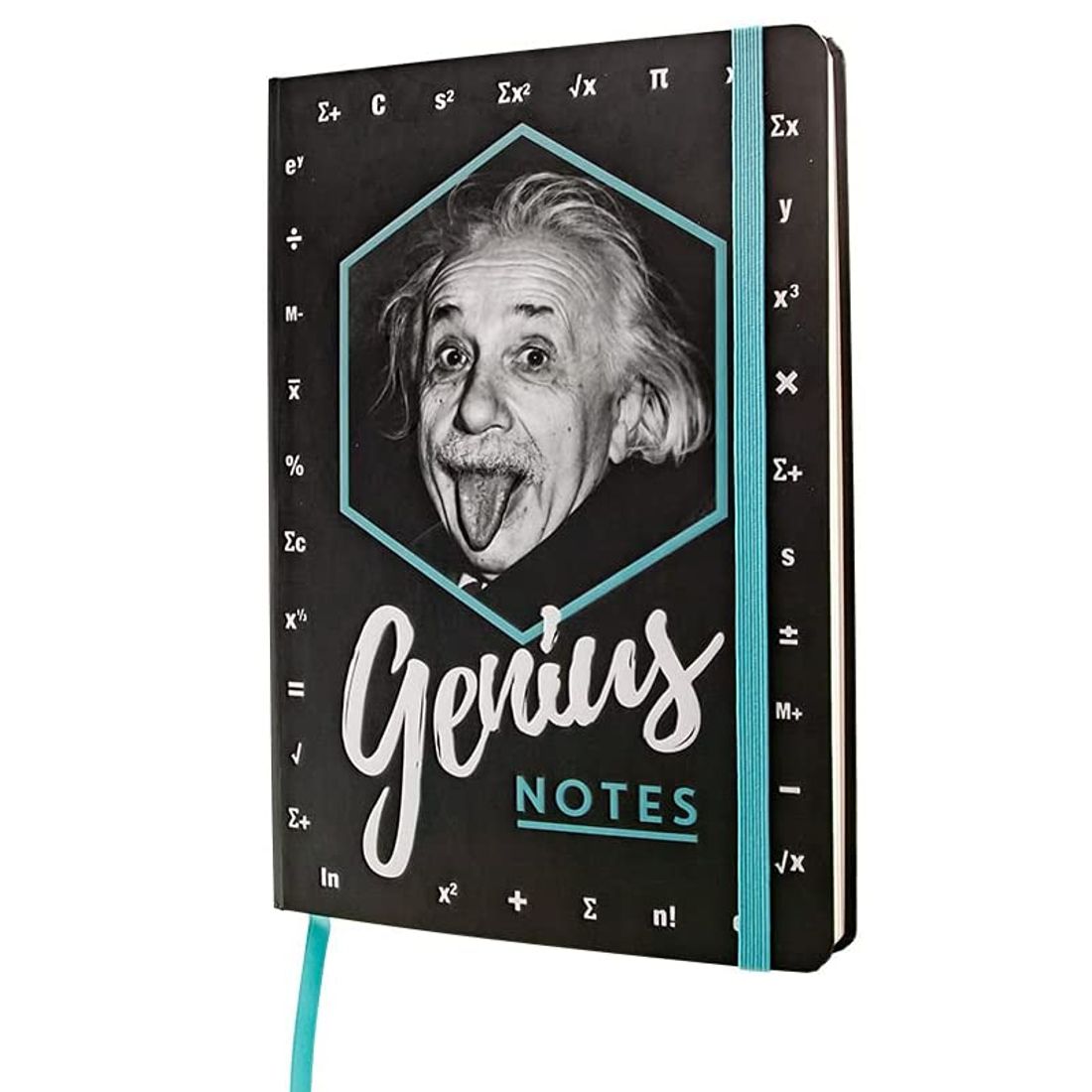 Retro-Notizbuch / Bullet Journal - Einstein - Genius Notes