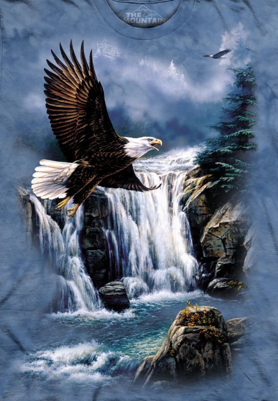 The Mountain T-Shirt - Majestic Flight